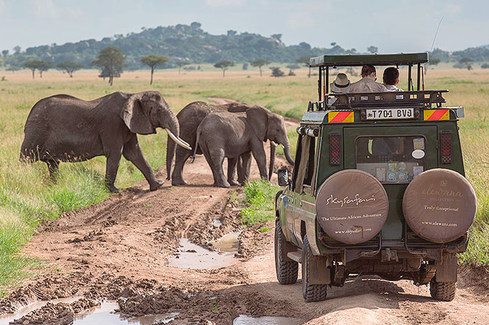 Sky Safari na Tanzânia