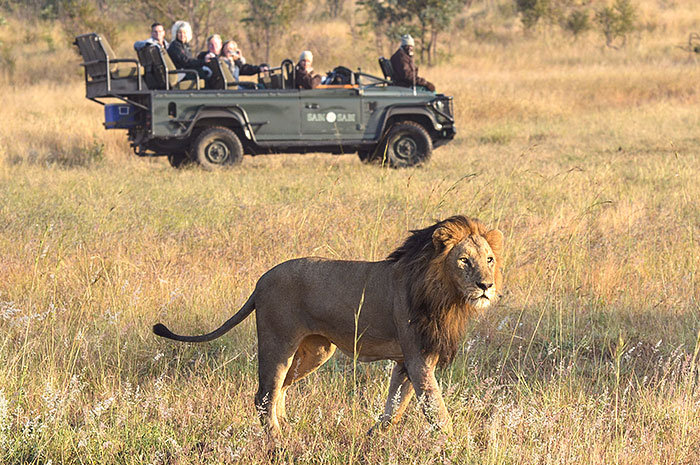 Kruger Park  &  Cape Town  (Sabi Sabi Private Reserve)