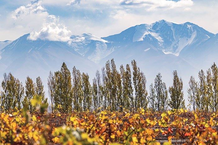 Mendoza 10%OFF - Diplomatic Hotel com experiências no Valle de Uco e Valle Central